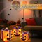 3 Pack Lighted Halloween Pumpkin Decorations (Pink Red) 1 x 1 x 1 inches